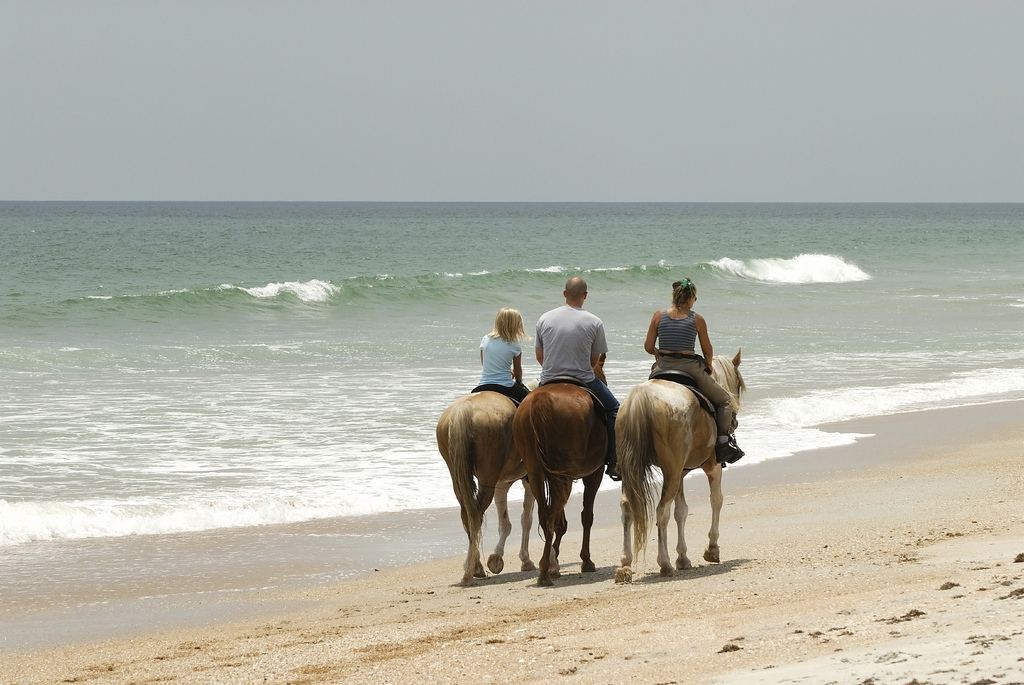 A Guide To Planning A Horse Vacation